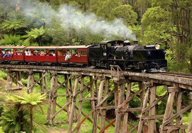 Puffing Billy steam train