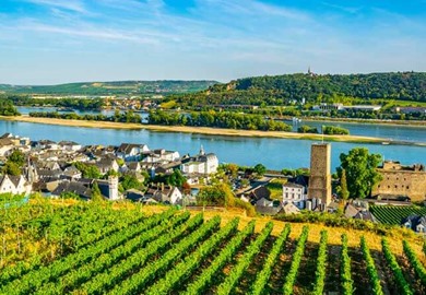 Rudesheim